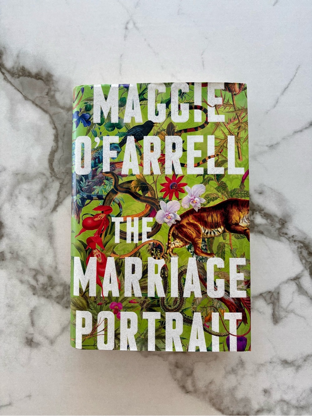 The Marriage Portrait by Maggie O'Farrell Historical Fiction Hardcover Novel